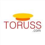 toruss.jpg