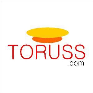 toruss.jpg